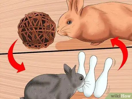 Image titled Entertain Your Rabbit Step 8