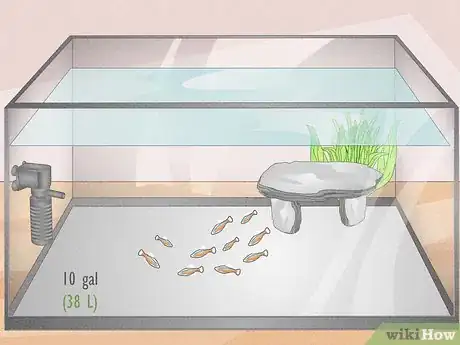 Image titled Know How Many Fish You Can Place in a Fish Tank Step 4