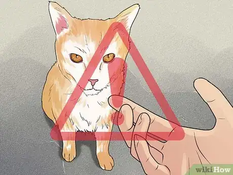 Image titled Treat a Cat Bite Step 14