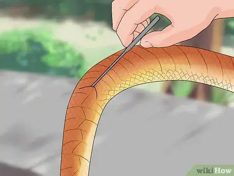 Image titled Sex a Corn Snake Step 5