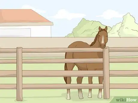 Image titled Convince Your Parents to Get You a Horse Step 4