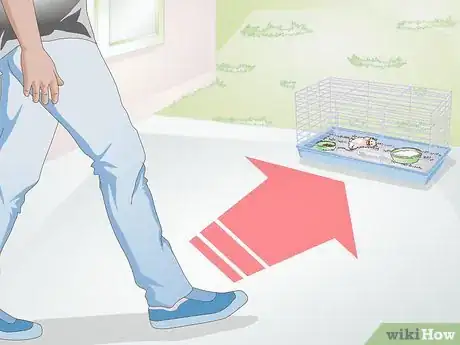 Image titled Wake up Your Hamster Without Scaring It Step 5