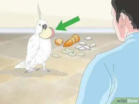 Image titled Feed a Cockatoo Step 11