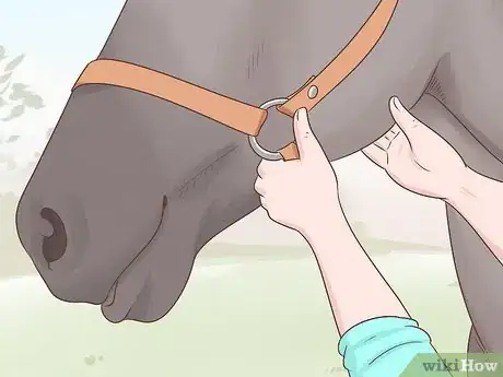 Image titled Tell if a Horse Is Happy Step 3