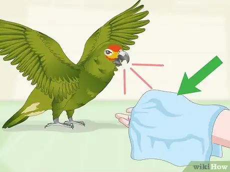 Image titled Deal with an Aggressive Amazon Parrot Step 20