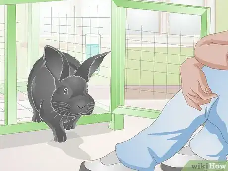 Image titled Earn Your Rabbit's Trust Step 5