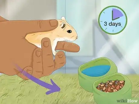 Image titled Train Your Hamster Step 1