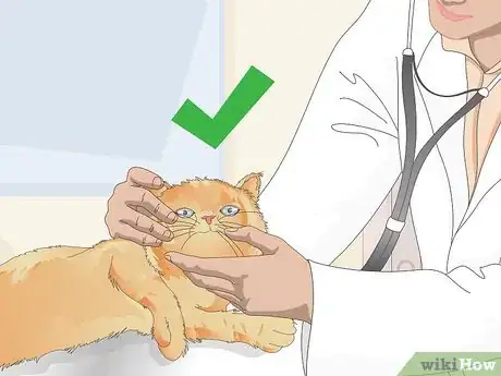 Image titled Remove Cat Spray Step 13