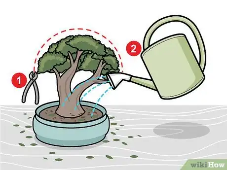 Image titled Prune a Bonsai Tree Step 12