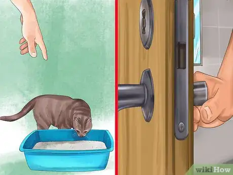 Image titled Retrain a Cat to Use the Litter Box Step 15