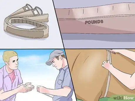 Image titled Use a Tape to Weigh a Horse Step 1