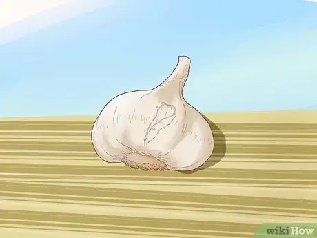 Image titled Plant Garlic Step 12