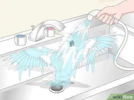 Image titled Take Care of Cockatoos Step 10