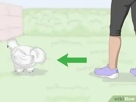 Image titled Pet a Chicken Step 2
