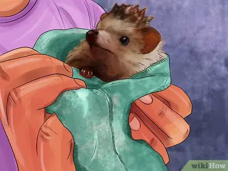 Image titled Bathe a Hedgehog Step 9