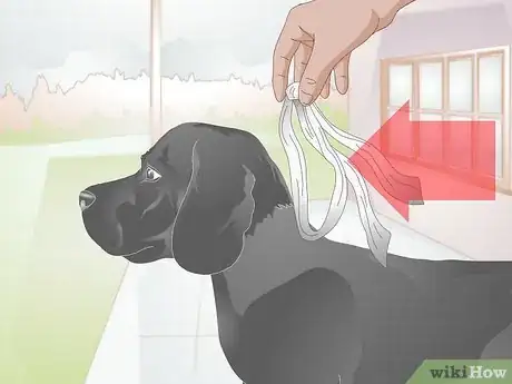 Image titled Apply a Gauze Muzzle to a Dog Step 4