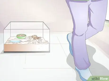 Image titled Take Care of a Molting Hermit Crab Step 9