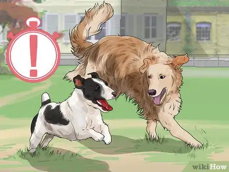 Image titled Help a Dog with Cataracts Step 17