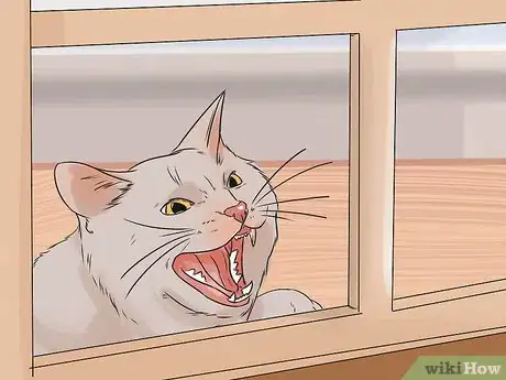 Image titled Prevent Cat Scratch Disease Step 11