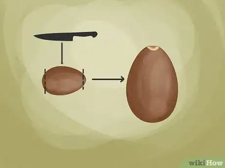 Image titled Grow Avocados as Houseplants Step 5
