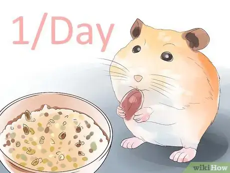 Image titled Feed Hamsters Step 6