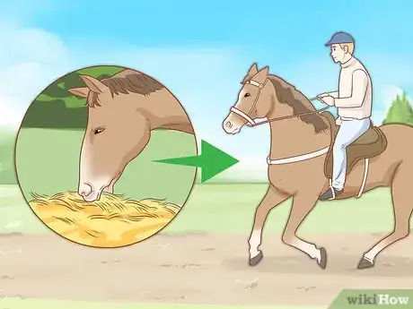 Image titled Feed a Horse Step 14