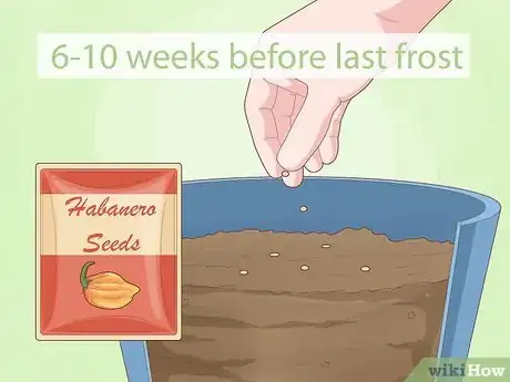 Image titled Grow Habanero Step 1