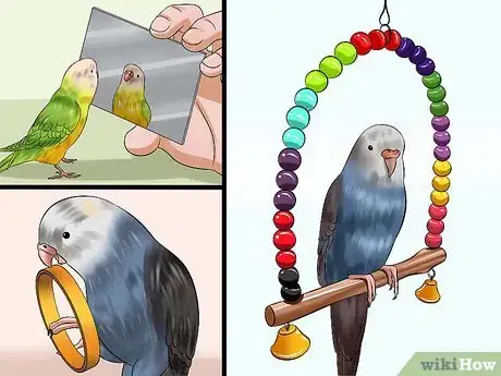Image titled Gain Your Parakeet's Trust Step 10