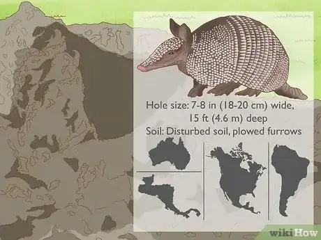 Image titled How Do You Identify Burrowing Animal Holes Step 12