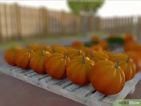 Image titled Grow Giant Pumpkins Step 16