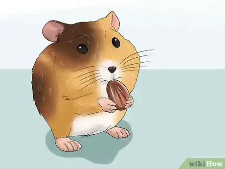 Image titled Know if Your Hamster Is Dying Step 2