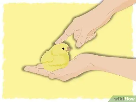 Image titled Raise Baby Chickens Step 11