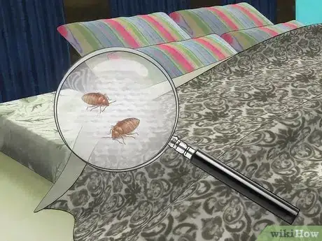 Image titled Stop Bed Bug Bites Immediately Step 26