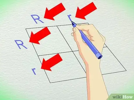 Image titled Work With Punnett Squares Step 6