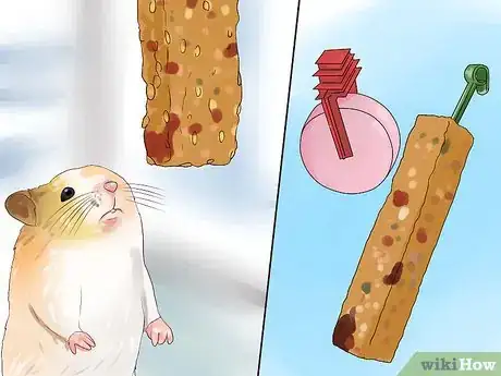 Image titled Feed Hamsters Step 3