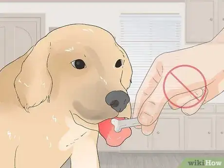 Image titled Teach a Puppy Its Name Step 10