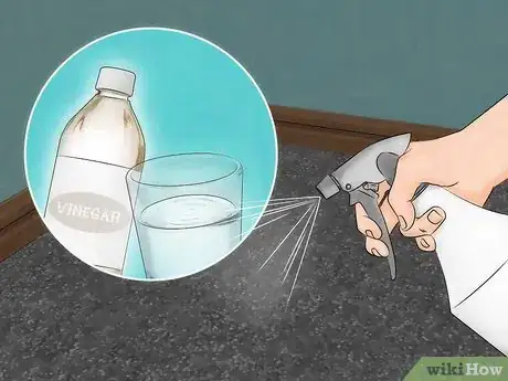 Image titled Get Rid of Fleas in Carpets Step 8