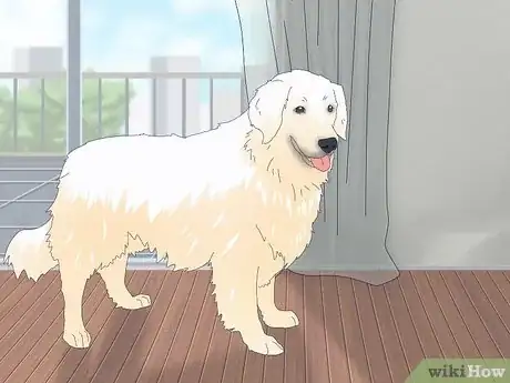 Image titled Get Dogs to Mate Step 3