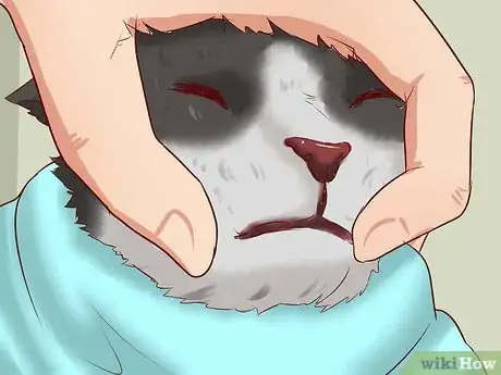 Image titled Open a Cat's Mouth Step 5