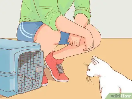 Image titled Encourage Your New Cat to Come Out of Hiding Step 6