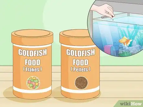 Image titled Feed Goldfish Step 2
