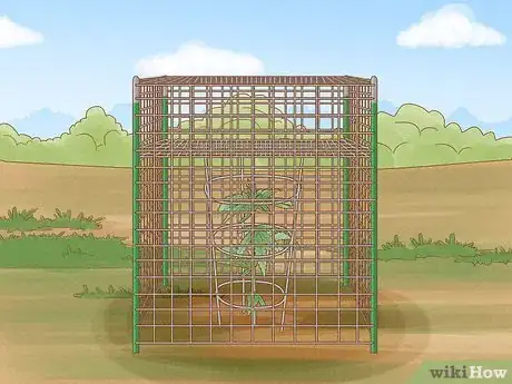 Image titled Grow Cannabis Outdoors Step 11