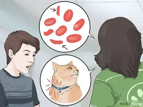 Image titled Diagnose and Treat Blood Blisters in Cats Step 7