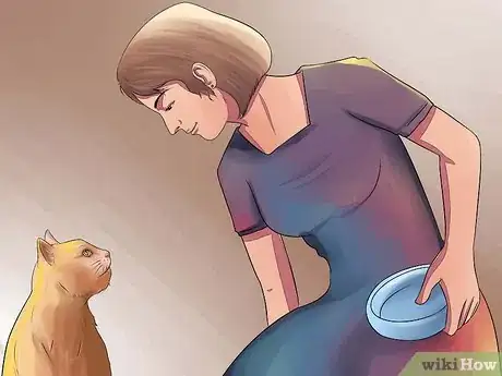 Image titled Prepare Your Cat for Surgery Step 3