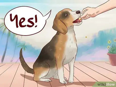 Image titled Teach Your Dog Basic Commands Step 2