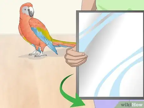 Image titled Stop a Macaw from Feather Picking or Chewing Step 8