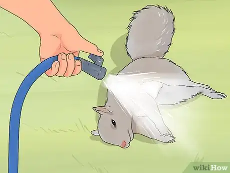Image titled Clean a Squirrel Step 1