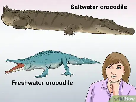 Image titled Tell a Freshwater Crocodile from a Saltwater Crocodile Step 1