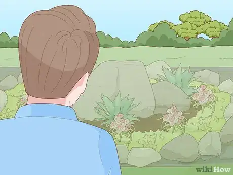 Image titled Build a Rock Garden with Weed Prevention Step 1