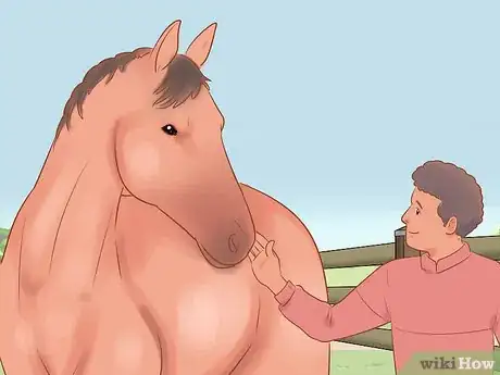 Image titled Meet a Horse for the First Time Step 4